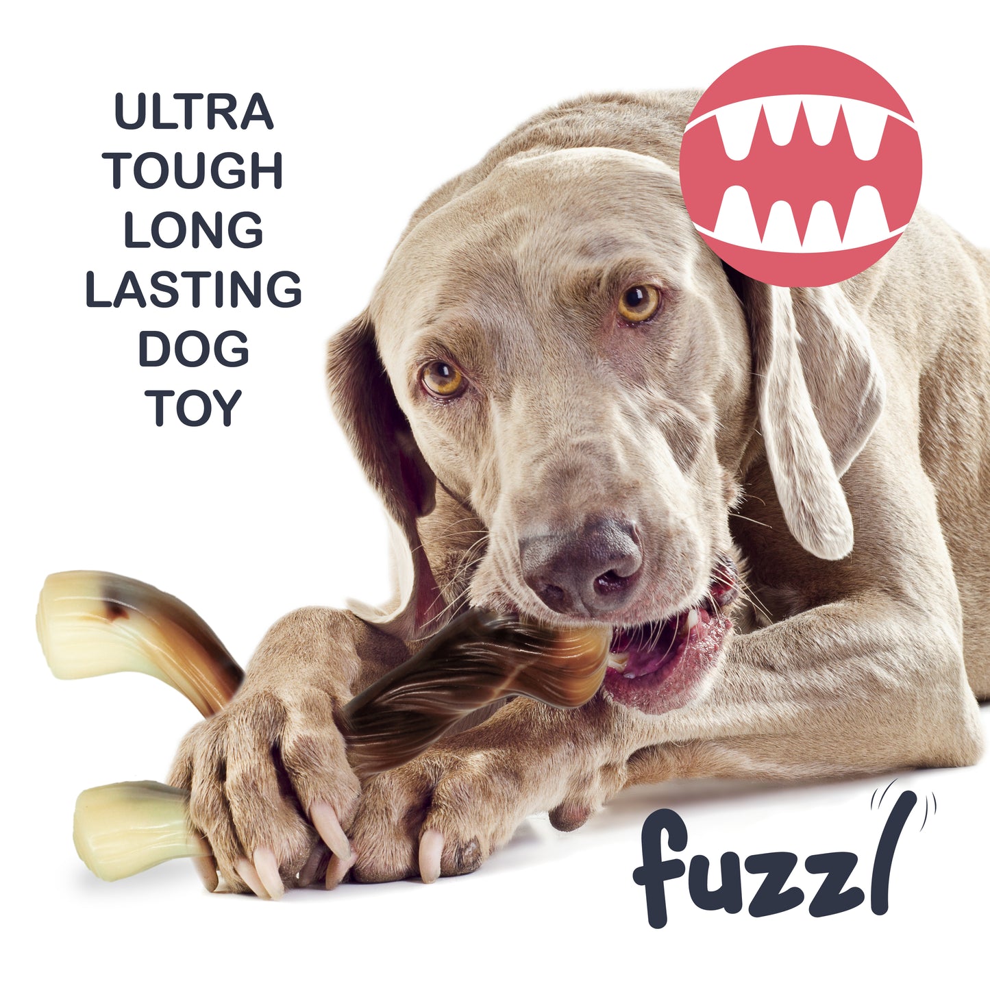 Fuzzl Ultra Tough Nylon Wishbone and Bone Dog Toy Pack