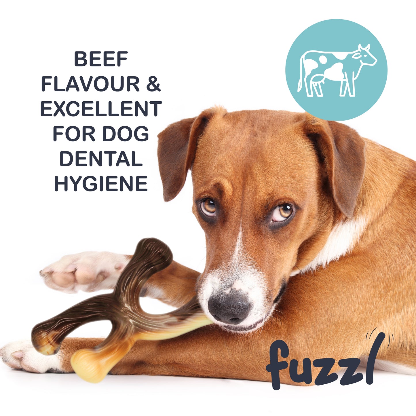 Fuzzl Ultra Tough Nylon Crossbone Dog Toy