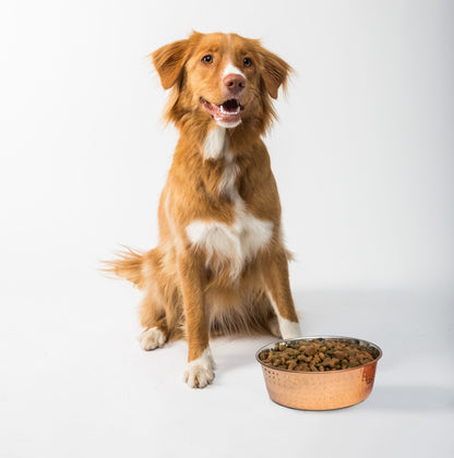 Fuzzl Copper Dog Bowl 17cm Medium