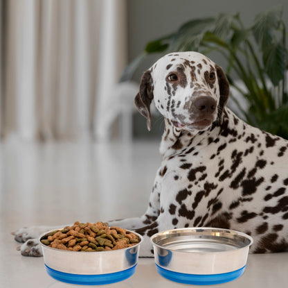 Fuzzl Stainless Steel Dog Bowls - 2 Pack 17cm