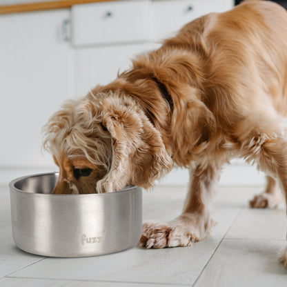 Fuzzl Titan Thermal Bowl 20cm - Brushed Stainless Steel Insultated Thermal Dog Bowl