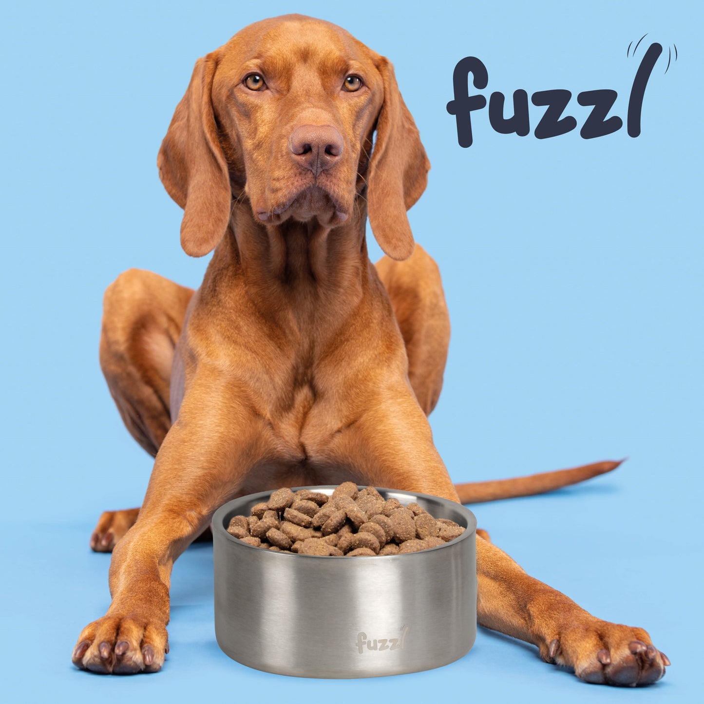 Fuzzl Titan Thermal Bowl 20cm - Brushed Stainless Steel Insultated Thermal Dog Bowl