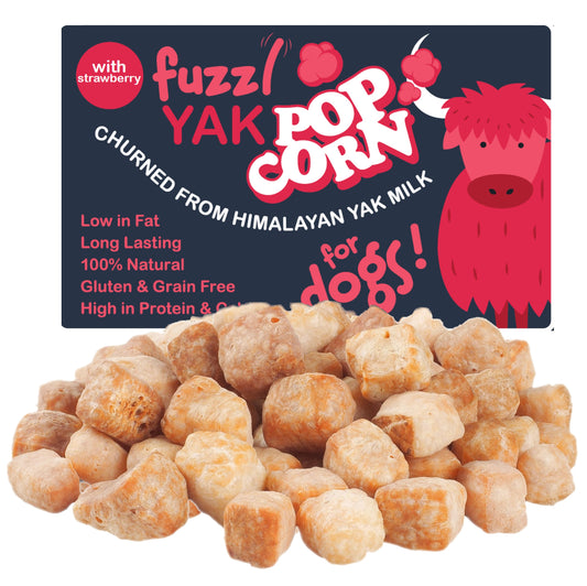 Fuzzl Yak Popcorn with Strawberry Large Pack Himalayan Yak Bites for Dogs